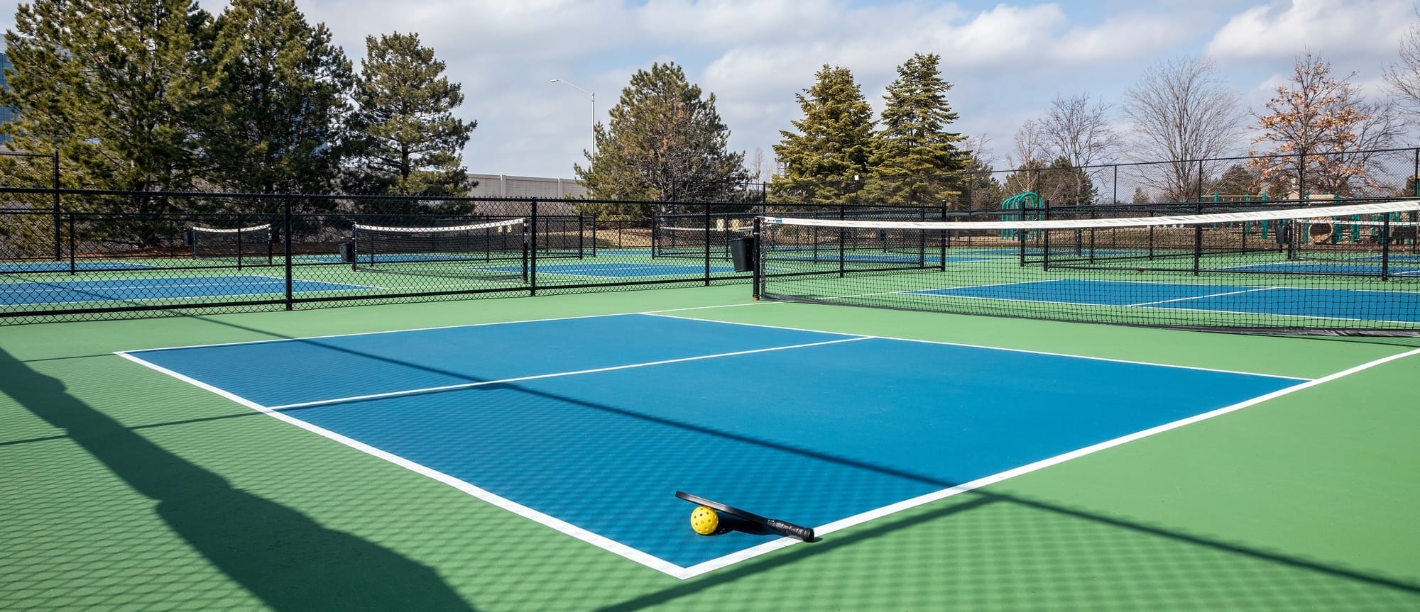 Ohio Residents Hope to Add Pickleball Court Construction to November Ballot