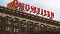 Anheuser Busch Joins King James, Brady and KD as MLP Owner