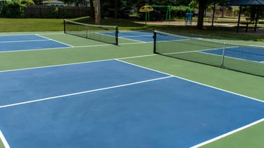 "Net Bandit" Terrorizes Pickleball Courts in New York