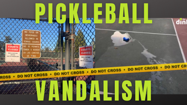 Pickleball Vandalism in Santa Rosa