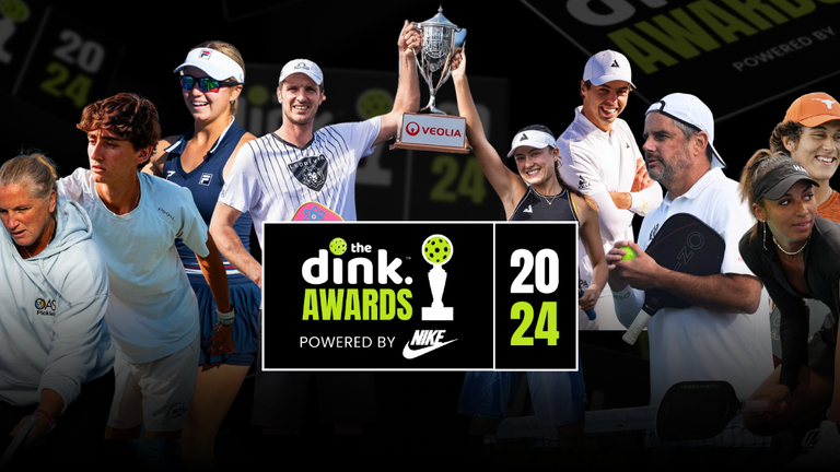 The 2024 Nike Dink Awards Results: Pro Player Categories